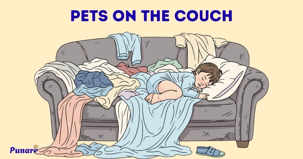 Pets On The Couch
