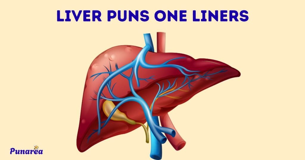 Liver Puns One Liners