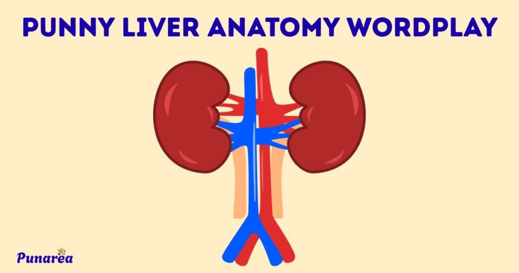 Punny Liver Anatomy Wordplay