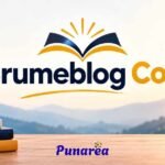 Brumeblog Com