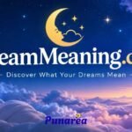 Dreammeaniing Com