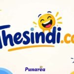 Thesindi Com