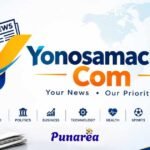 Yonosamachar Com