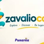 Zavalio Com