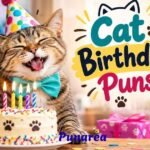 Cat Birthday Puns