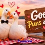 Goose Puns And Jokes