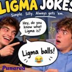 Ligma Jokes